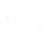 Jewish Aumni Network ChiTribe logo
