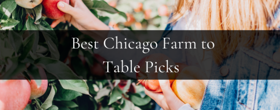 Chicago Farm to Table Picks for the New Year