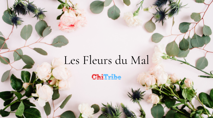 ChiTribe Business of the Month: Les Fleurs du Mal