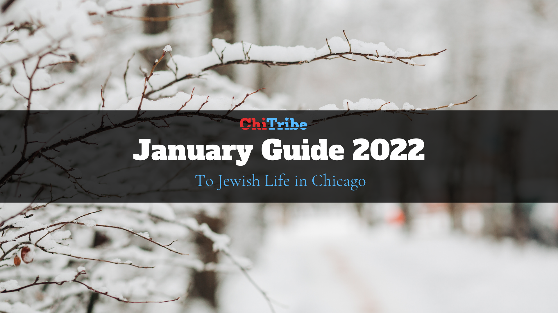 Jewish January Event Guide to Chicago