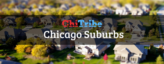 jewish suburbs chicago chitribe